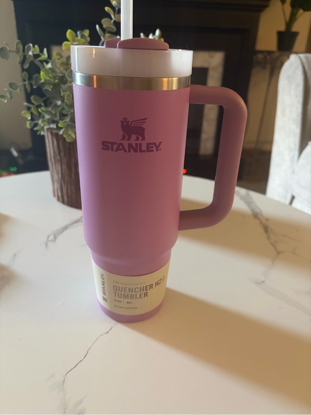 Stanley Quencher H2.0 Insulated Tumbler